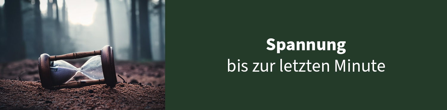 Medieninhalt - Feld 1